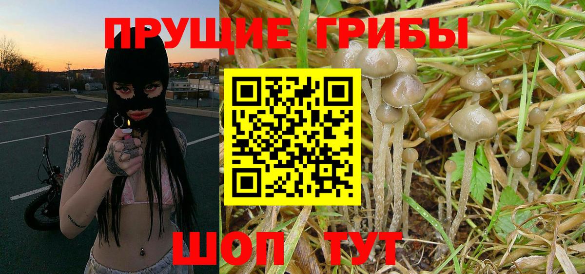 Галлюциногенные грибы MAGIC MUSHROOMS Пушкино