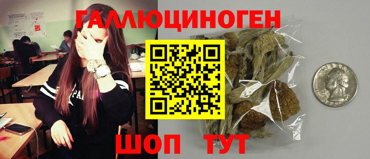 Пушкино  Псилоцибиновые грибы мицелий  Вход с VPN 